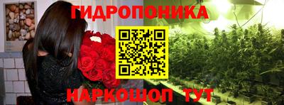 mdpv Ярославль