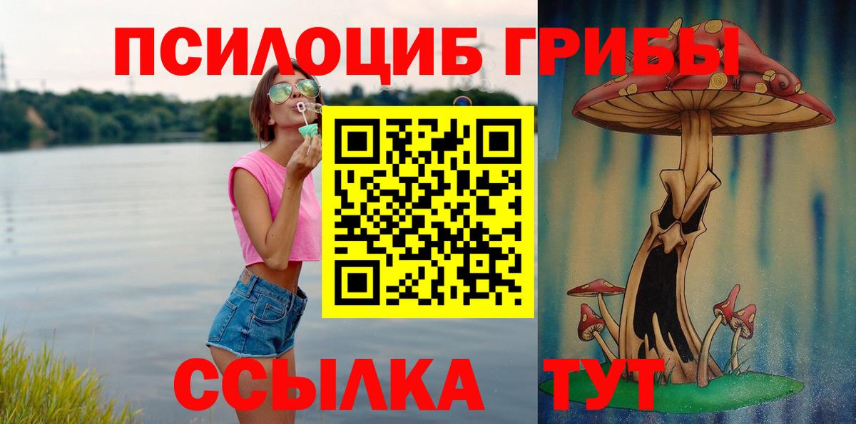 Гатчина  Псилоцибиновые грибы Cubensis  Псилоцибиновые грибы ЛСД  Вход с VPN 